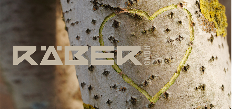 Herz in Birke mit Moos überzogen