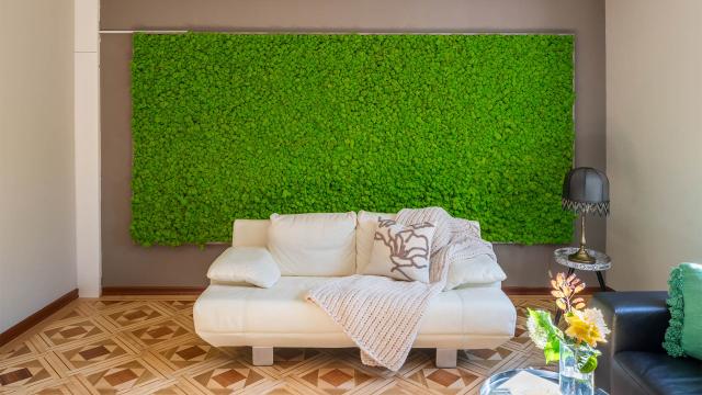 Mooswand Pflegeheim Rüti