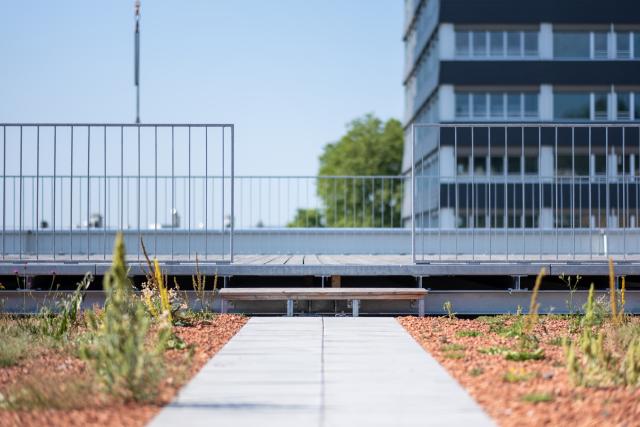 Dachterrasse aus robustem Holz und Metall