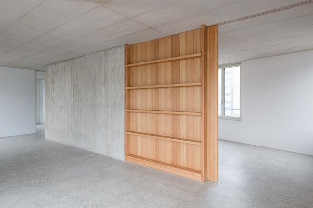 Schiebetür mit Regal aus Lerche